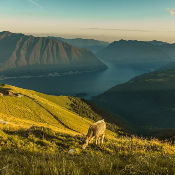 Landschaft in der Lombardei